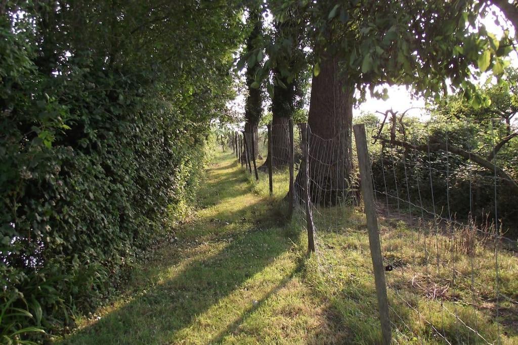 Au Pied Du Frene Herzeele Exterior foto